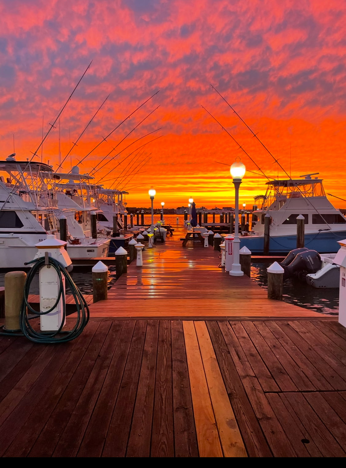 aerial marina boats