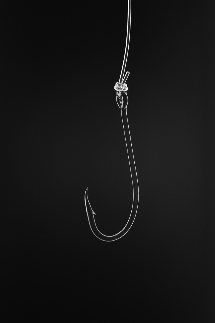 bait and tackle shop